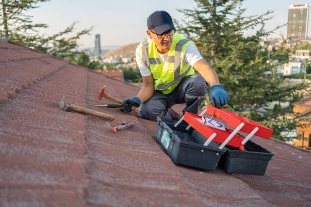 Best Brick Veneer Siding  in Cedar Knolls, NJ